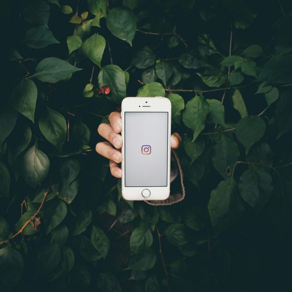 pramod-tiwari-qK6p3PcOBGQ-unsplash